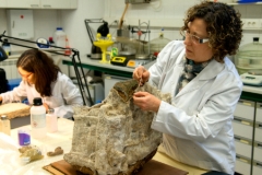 Laboratori d'Arqueologia de la Universitat de Lleida