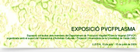 Exposició PVCPLASMA a la UdL