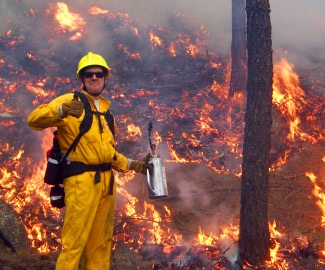 Domingo Molina, de la UdL, rebrà el Batefuegos de Oro 2008 per la lluita contra els incendis
