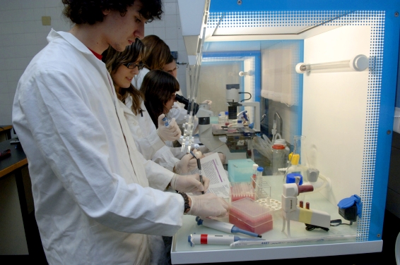 Nou laboratori de pràctiques a Biotecnologia de la UdL