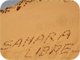 Dia de la Solidaritat amb el Sàhara Occidental a la Universitat de Lleida