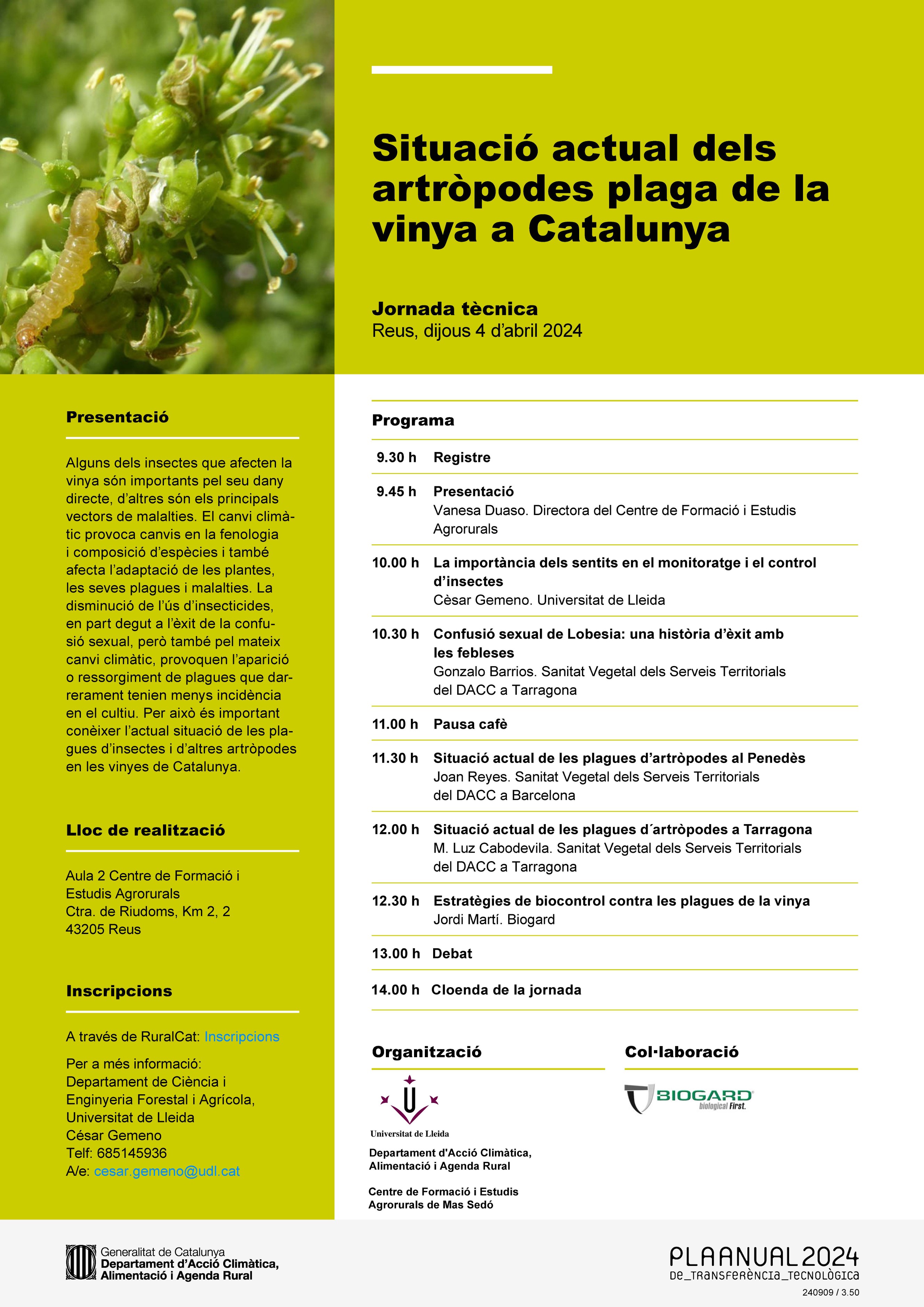 Situació actual dels artròpodes plaga de la vinya a Catalunya