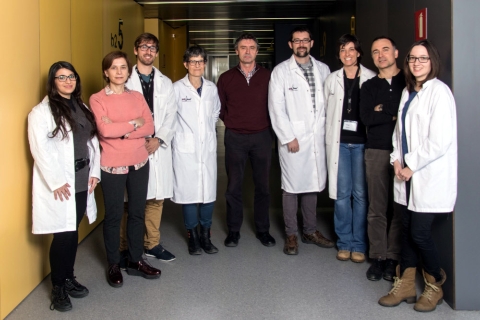 Grup de recerca Bioquímica de l'estrès oxidatiu / Foto: IRBLleida