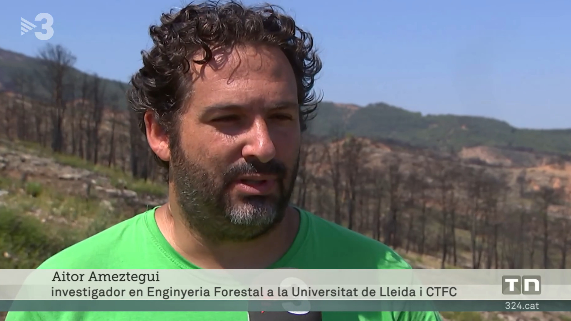 Els boscos no es regeneren tan ràpid després d'un incendi degut a la crisi climàtica