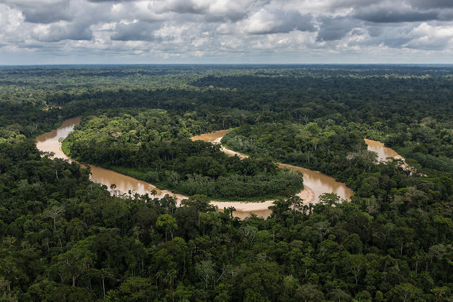 amazonia