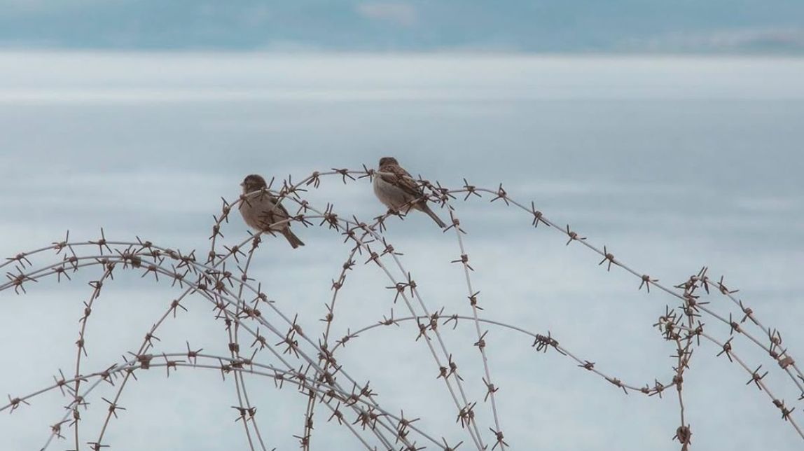 Exposició fotogràfica Murs de la Mediterrània, de Roger Grasas