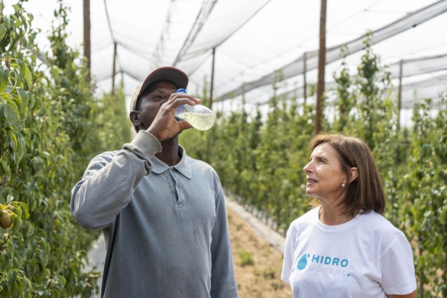 hidroponent temporers