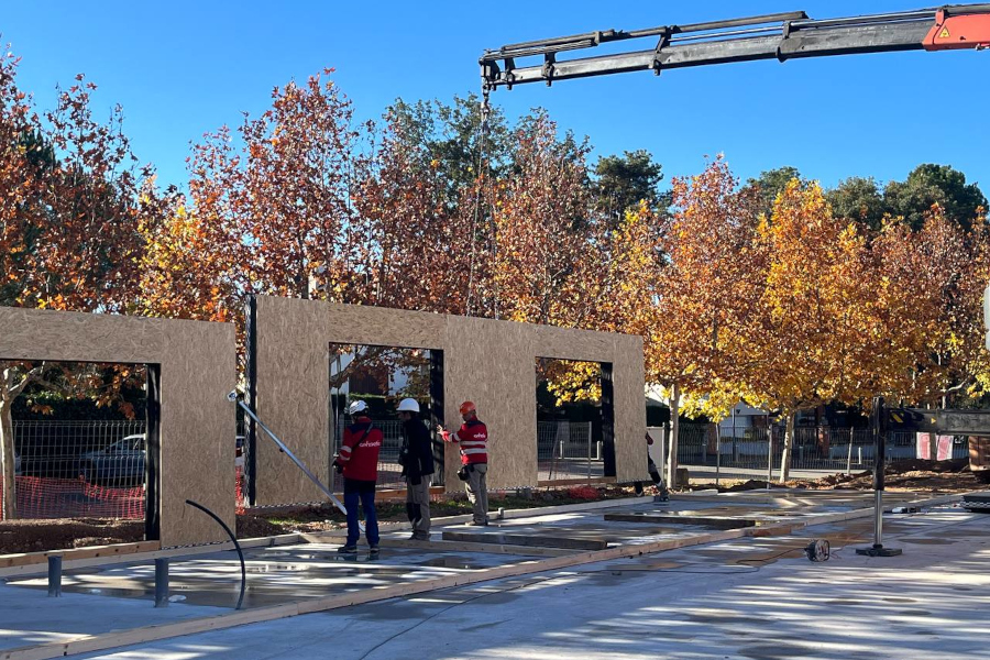hub forestal