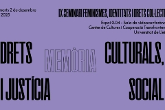 IX Seminari Feminismes, identitats i drets col·lectius sobre 'Drets culturals, memòria i justícia social'