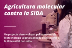 sida2