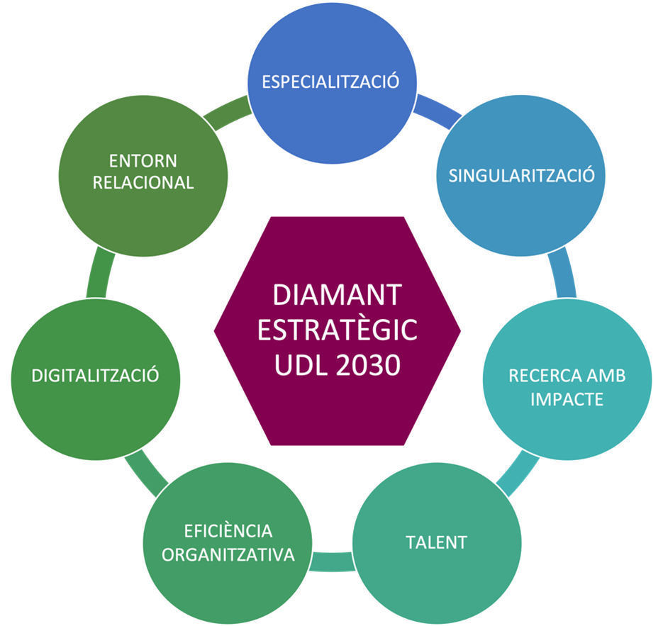 Visió estratègica UdL