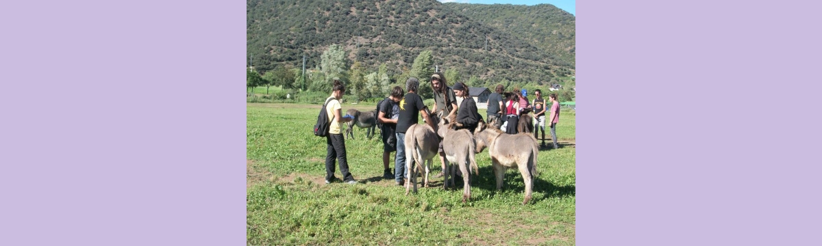 2011. Alt Urgell 2011. Alt Urgell