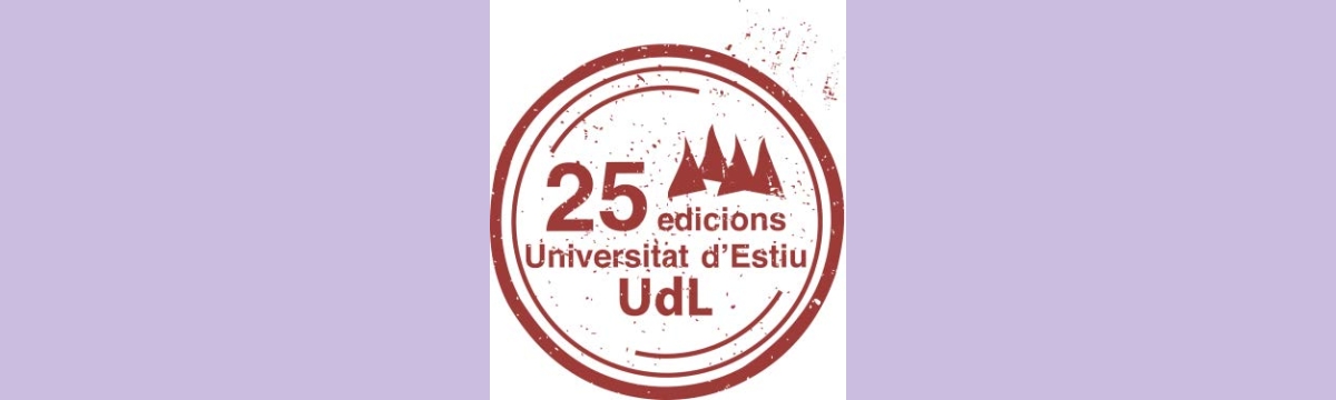 Logo commemoratiu 25 edicions, 2017
