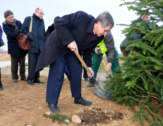 Plantada d'arbres a l'Arborètum de la UdL