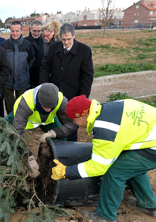 Plantada d'arbres a l'Arborètum de la UdL