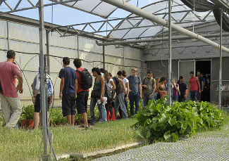 Producció Ecològica. Curs de la Universitat d'Estiu de la UdL