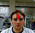 Control del ratolí mitjançant una webcam i els moviments del cap. Headmouse de la Universitat de Lleida Control del ratolí mitjançant una webcam i els moviments del cap. Headmouse de la Universitat de Lleida
