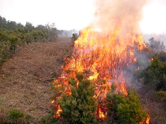 Predicció de risc d'incendis. Universitat de Lleida. Foto: Bombers