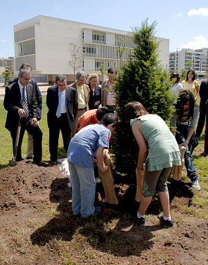 [+] Ampliar imatge. Arbre de les Cultures. Cappont. UdL