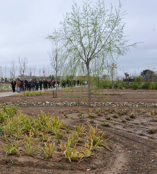 Arboretum. Universitat de Lleida