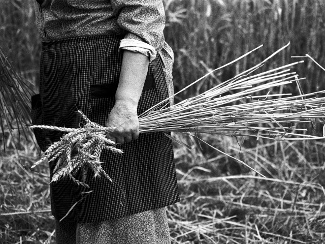 Premi Dones Rurals de Fotografia / Santi Iglesias / Universitat de Lleida