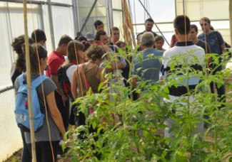 Agricultura ecològica. Universitat d'Estiu de la UdL