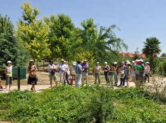 Arborètum Universitat de Lleida UdL