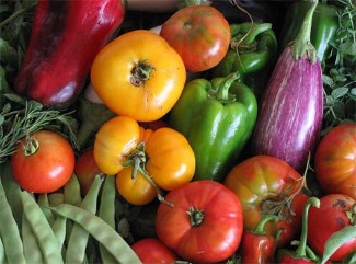 Congrés d'Agricultura Ecològica a la Universitat de Lleida