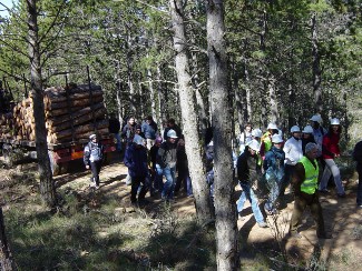 ETSEA Forestry Erasmus Mundus - Universitat de Lleida