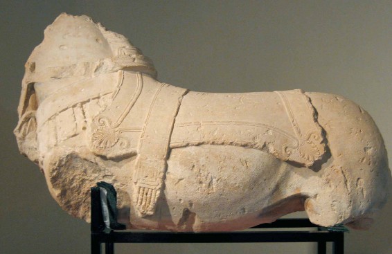 Exposició Cavalls i poder en el món ibèric | Universitat de Lleida Exposició Cavalls i poder en el món ibèric | Universitat de Lleida