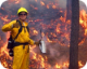 Màster incendis Universitat de Lleida UdL