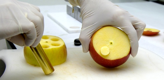 conservació d'aliments de IV gamma / Universitat de Lleida conservació d'aliments de IV gamma / Universitat de Lleida