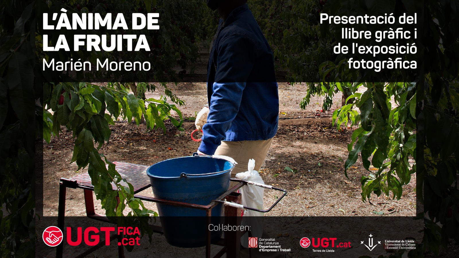 Exposició fotogràfica: L'ànima de la fruita