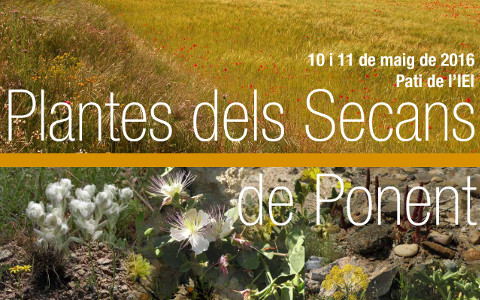 Exposició de l'Arborètum a l'IEI / UdL