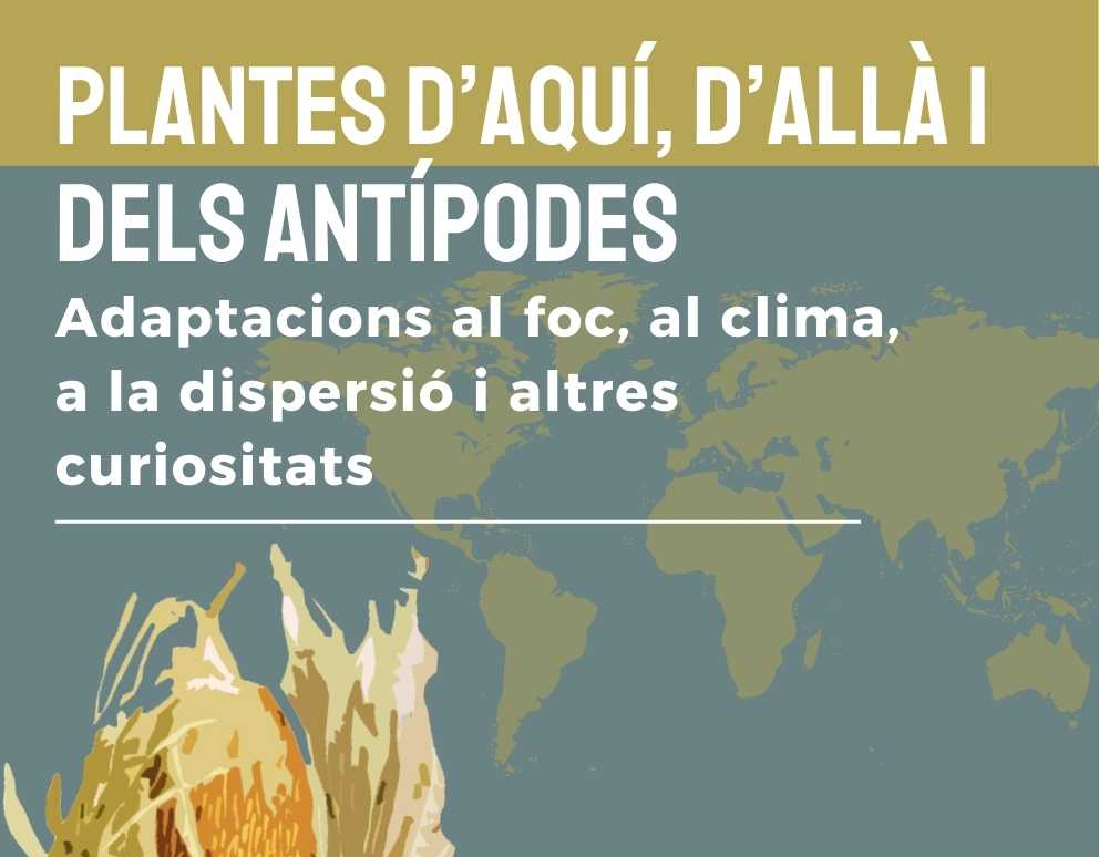 Exposició: Plantes d'aquí, d'allà i dels antípodes
