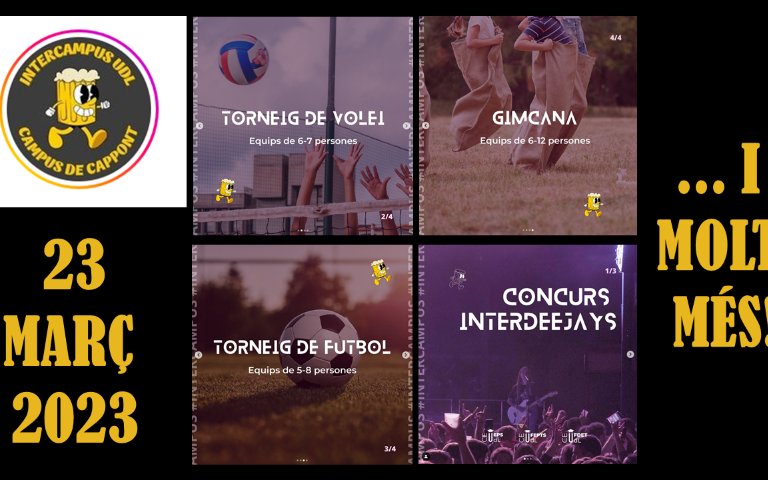 Festa Intercampus 2023