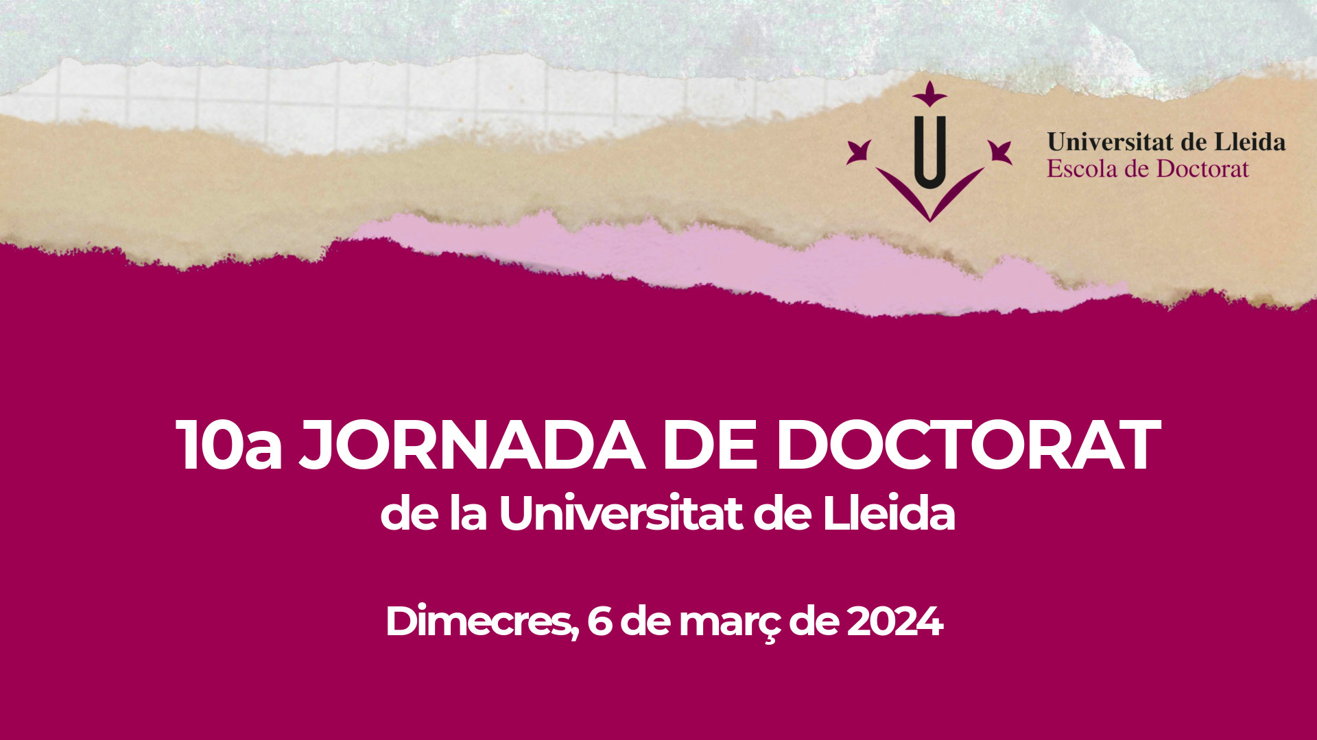 X Jornada de Doctorat de la Universitat de Lleida X Jornada de Doctorat de la Universitat de Lleida