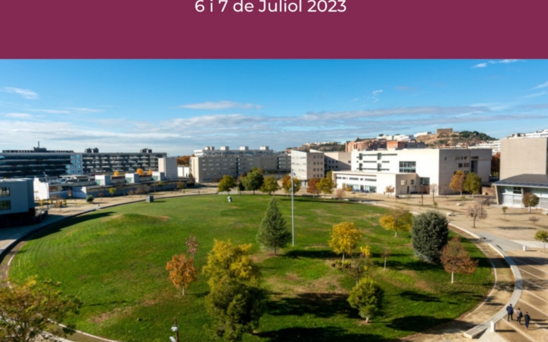 Seminari Internacional Infància, famílies i vulnerabilitat (GIREFV)