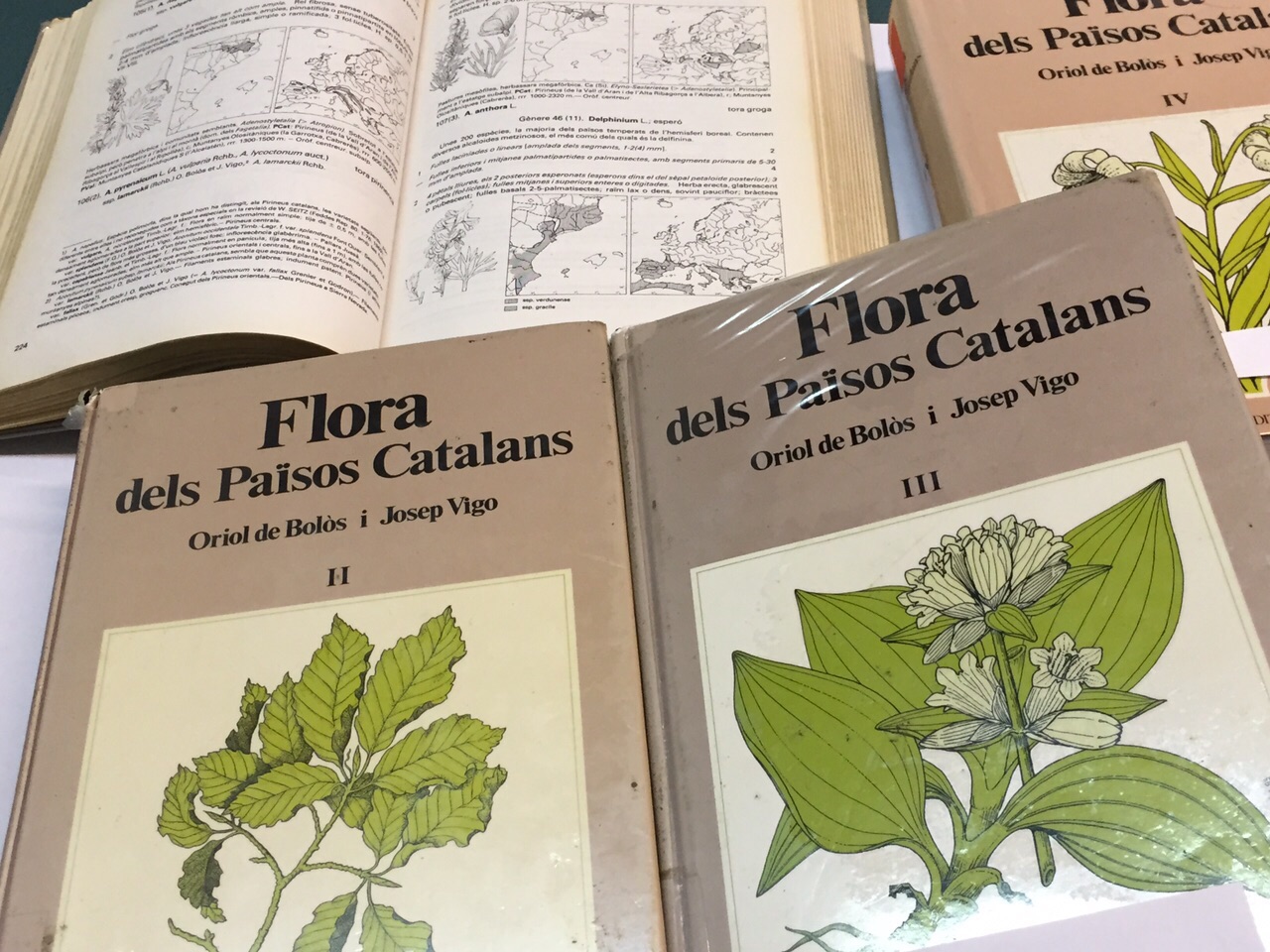 fons bolos