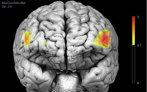 recerca neurocognició-b