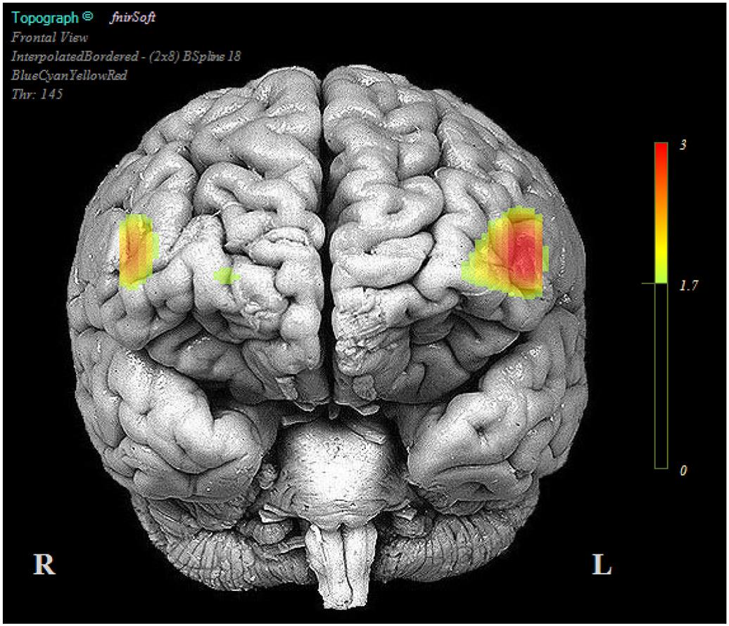 recerca neurocognició