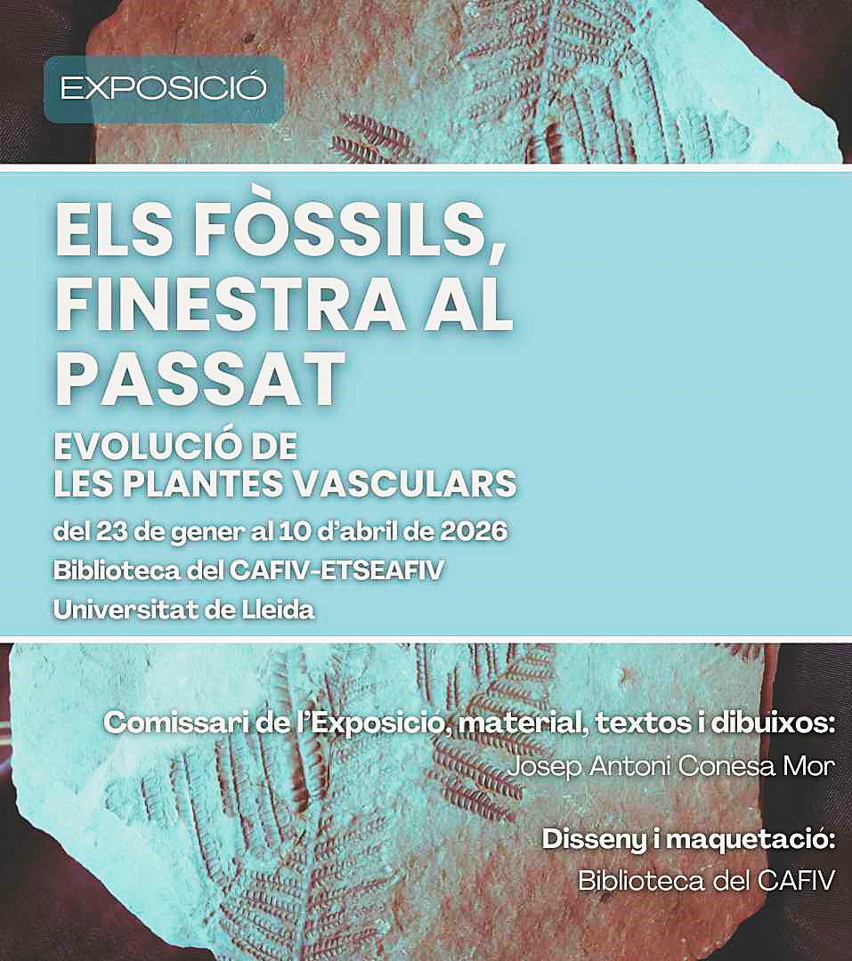 Exposició: Els fòssils, finestra al passat: evolució de les plantes vasculars