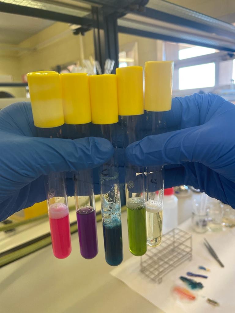 Taller Colorants alimentaris i elaboració de pasta alimentosa