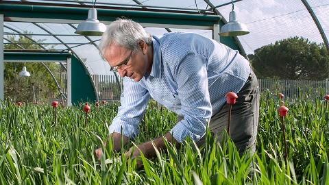 Gustavo-Slafer-Agrotecnio-UdL