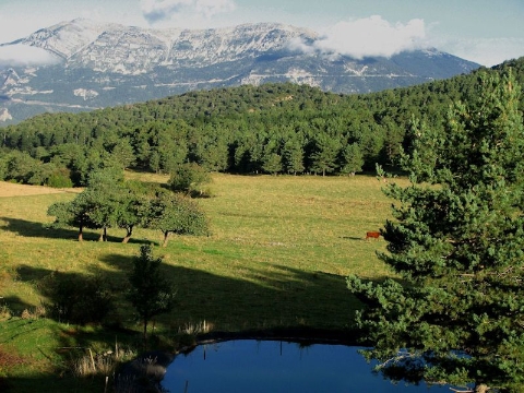 Pla de Busa - Navès