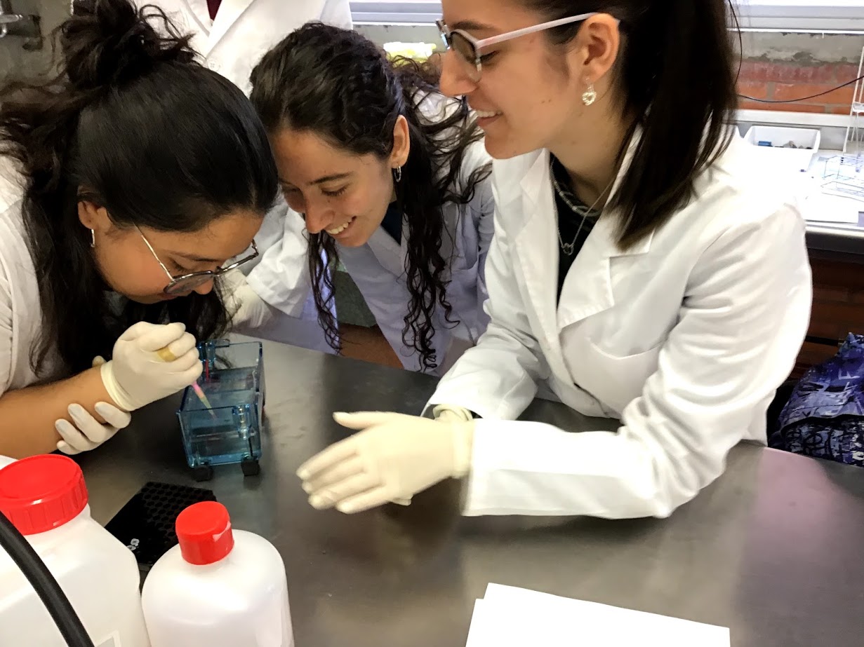 Alumnat del Torre Vicens clona un gen de pastanaga amb investigadors de Biotecnologia de la UdL
