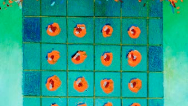 Presentació del llibre de Lluís Maicas: Claper de pedres fogueres