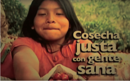 cosecha