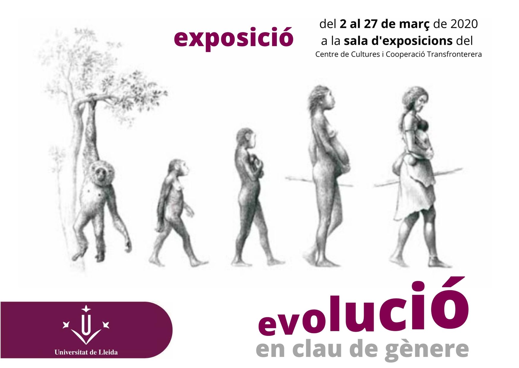 expo_evolucio_en_clau_de_genere