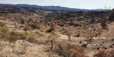 incendi Ebre-port